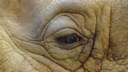 Une saison au zoo de La Flèche, ça vous tente ?